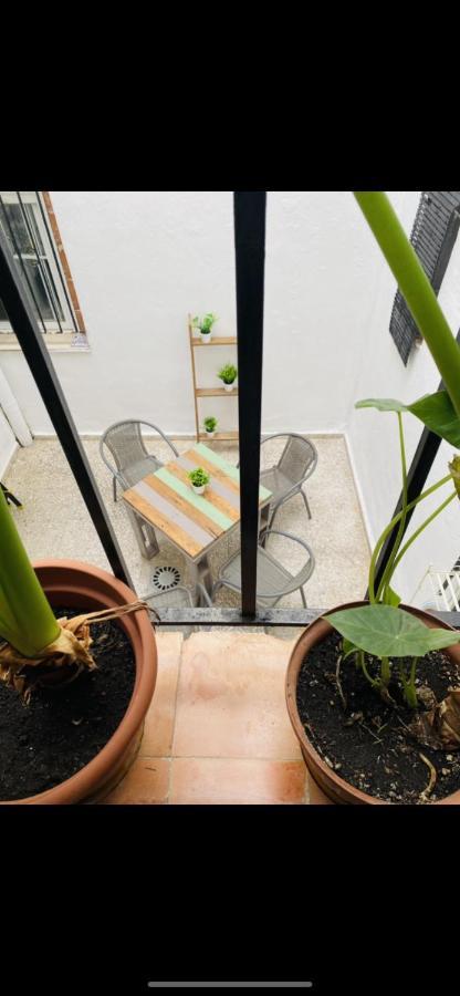 Apartamento San Eloy Con Patio Privado Κόρδοβα Εξωτερικό φωτογραφία